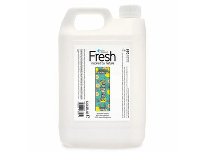 Groom Professional Fresh Sea Zest Шампоан