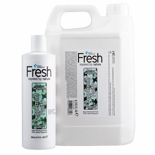 Groom Professional Fresh Peppermint Purify Шампоан