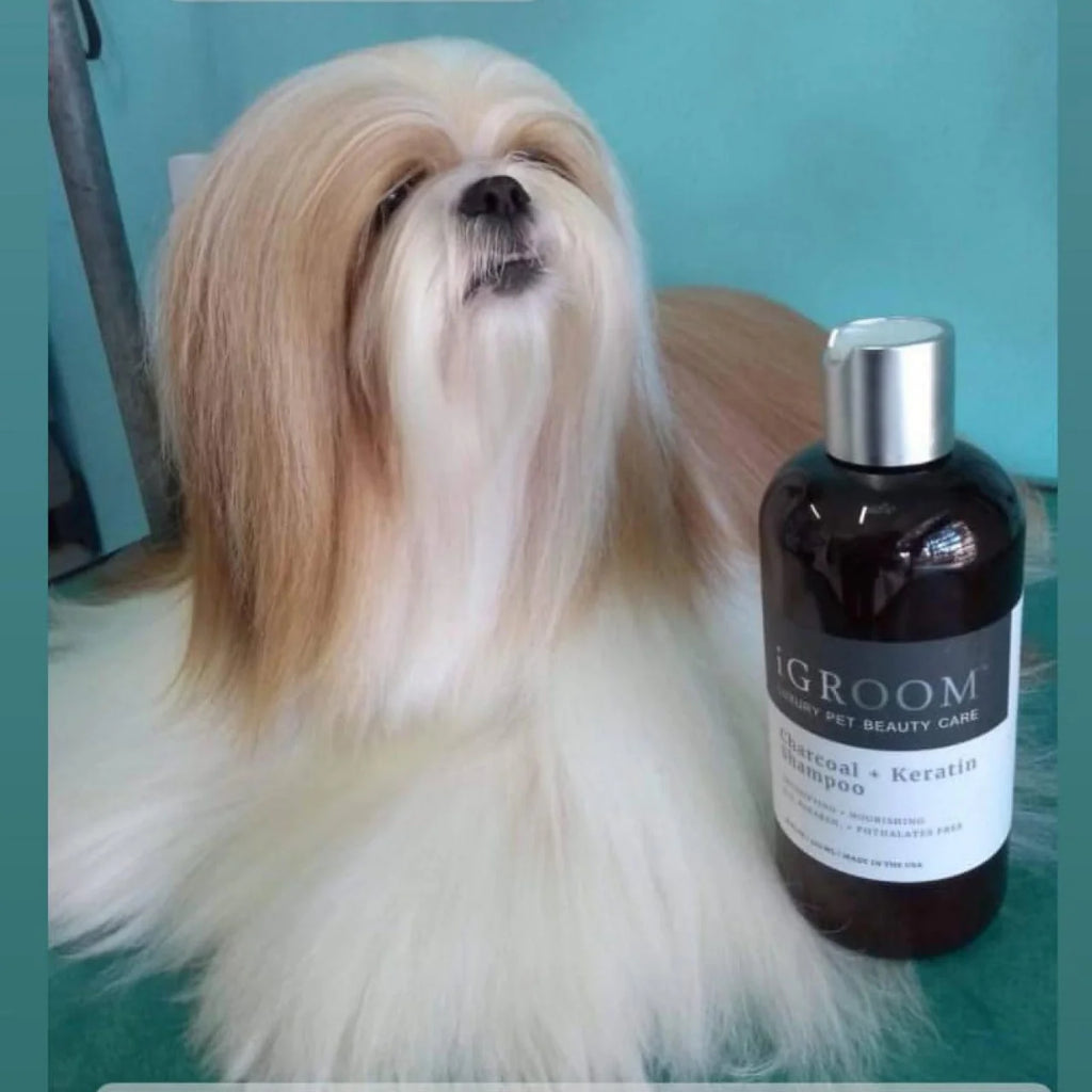 iGroom Charcoal + Keratin Шампоан - Груум БГ