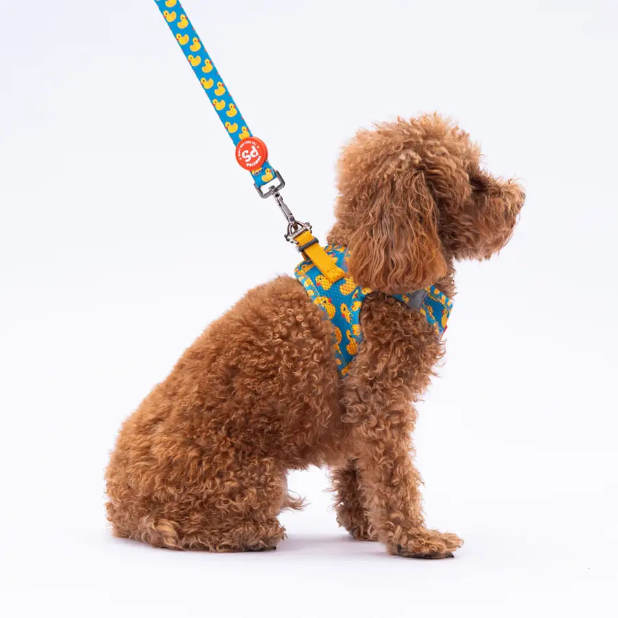 PawStar Ducks - дизайнерски повод за куче, 120 см