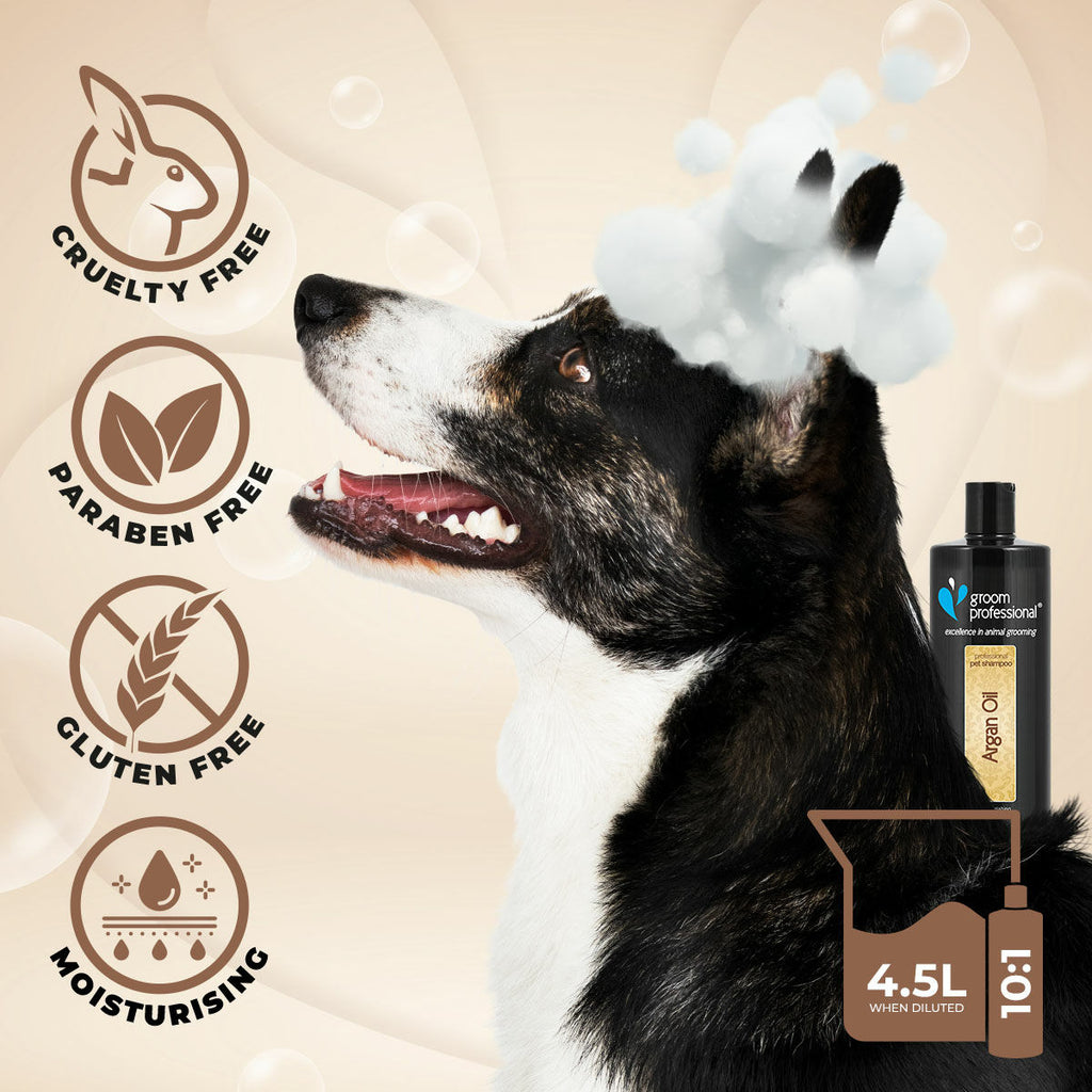 Groom Professional Argan Oil Шампоан - Груум БГ