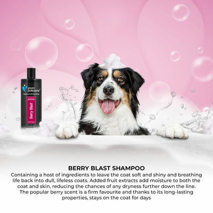 Groom Professional Berry Blast Шампоан