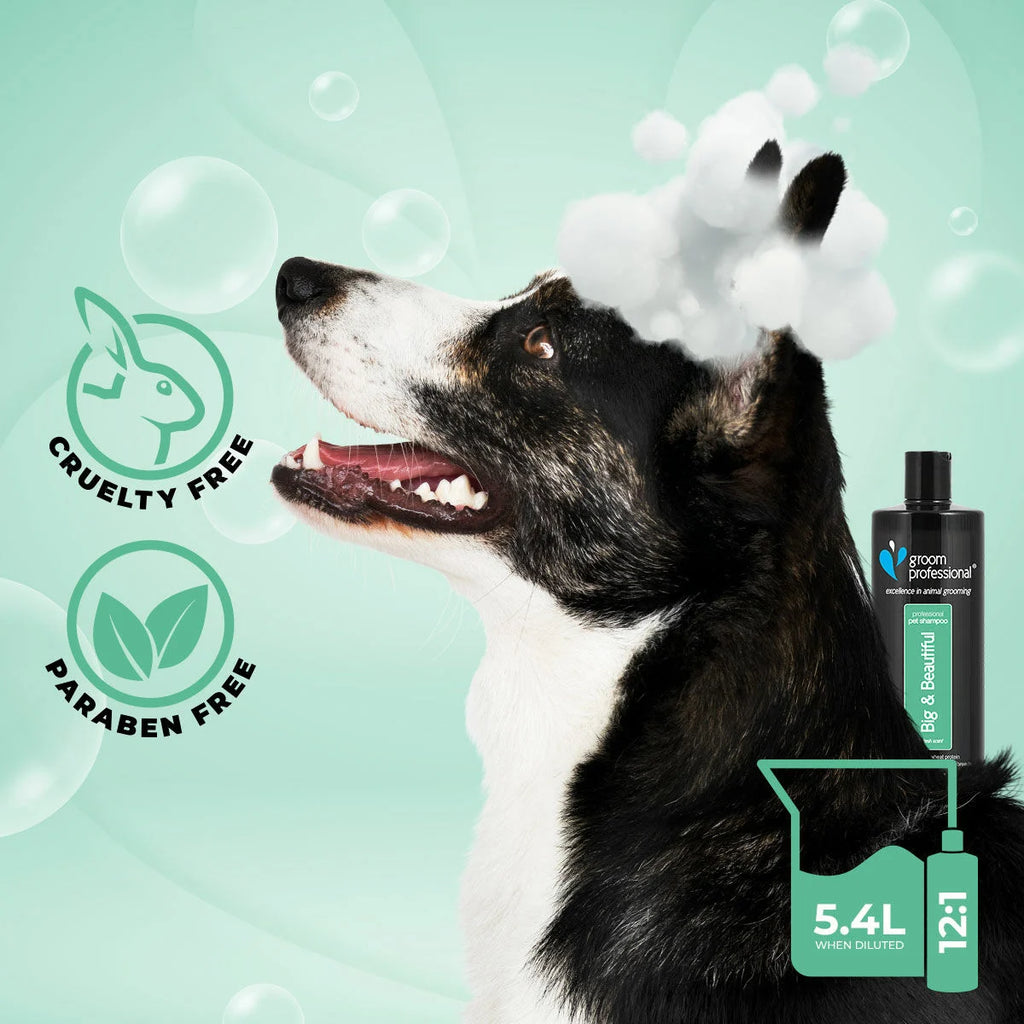 Groom Professional Big & Beautiful Volumising Shampoo шампоан концентрат 12:1 за обем