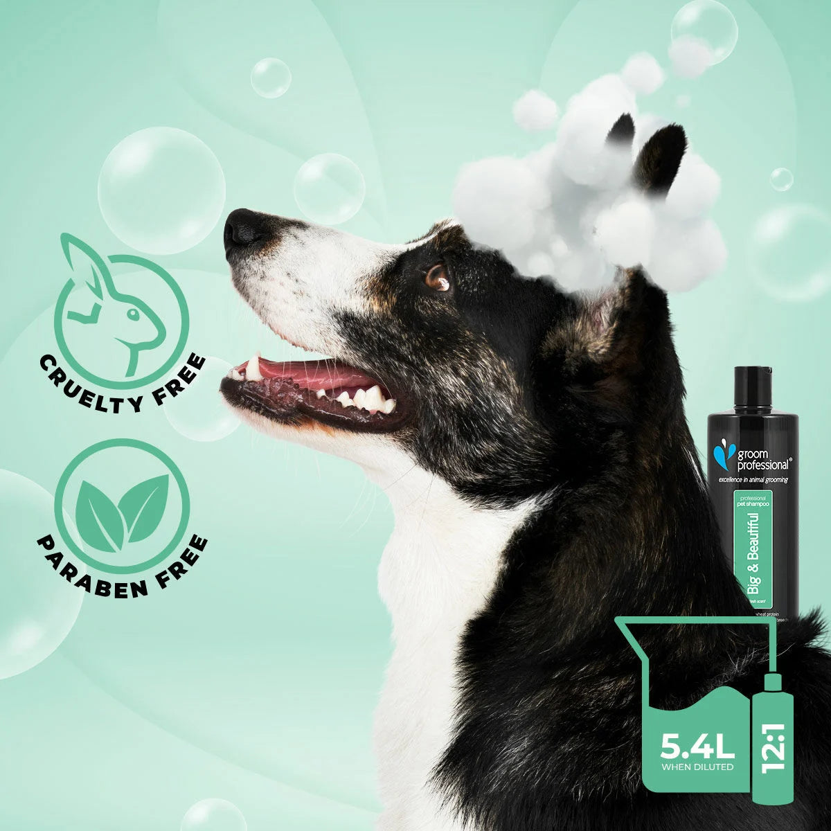 Groom Professional Big & Beautiful Volumising Shampoo шампоан концентрат 12:1 за обем