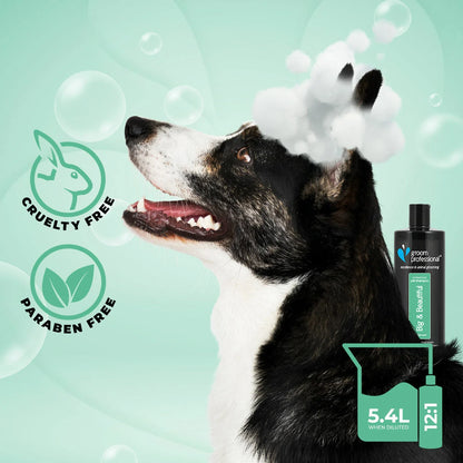 Groom Professional Big & Beautiful Шампоан