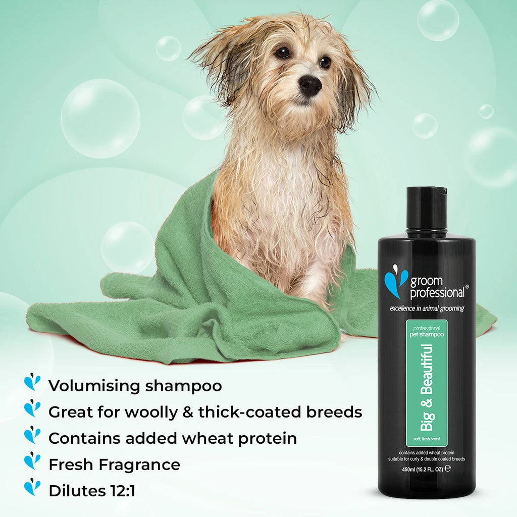 Groom Professional Big & Beautiful Volumising Shampoo шампоан концентрат 12:1 за обем