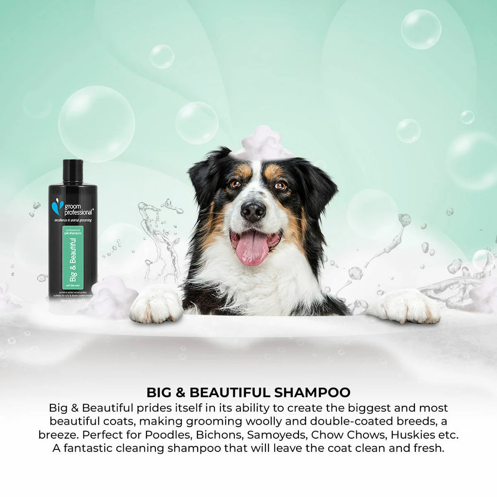 Groom Professional Big & Beautiful Volumising Shampoo шампоан концентрат 12:1 за обем