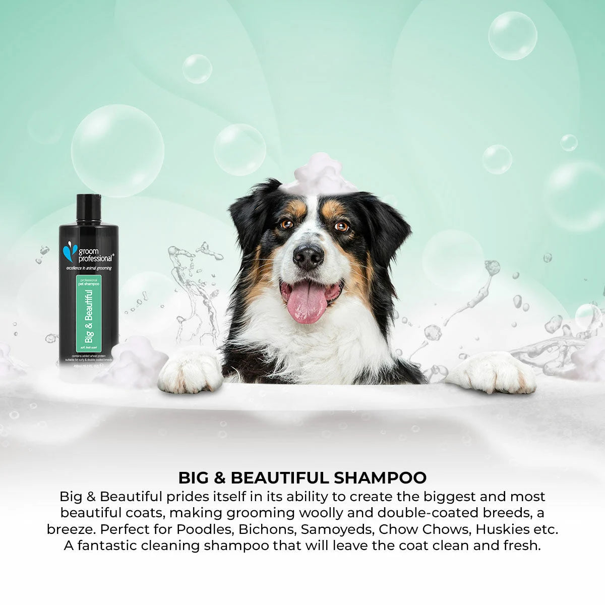 Groom Professional Big & Beautiful Volumising Shampoo шампоан концентрат 12:1 за обем