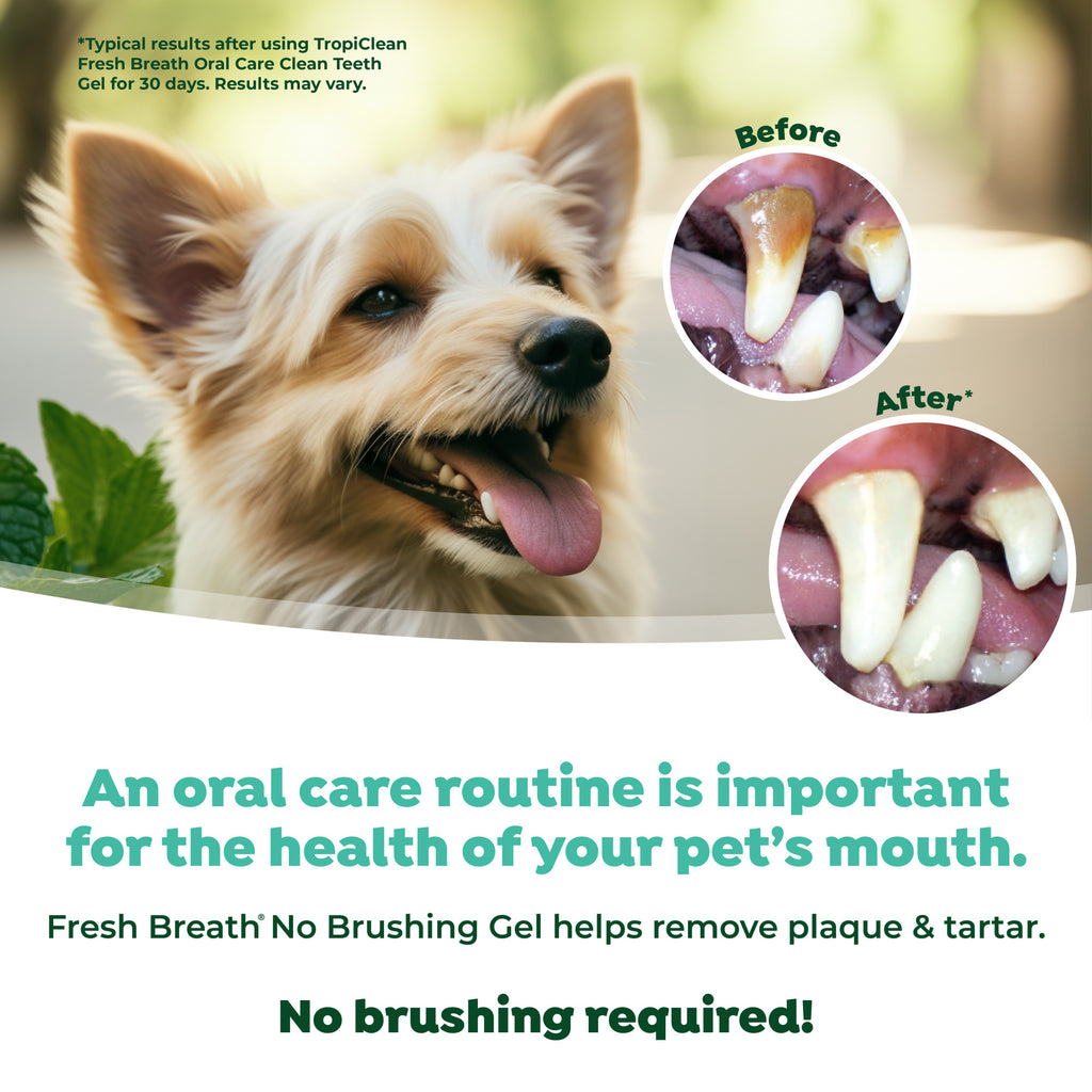 TropiClean Fresh Breath Anti-Plaque & Tartar Gel 59 ml
