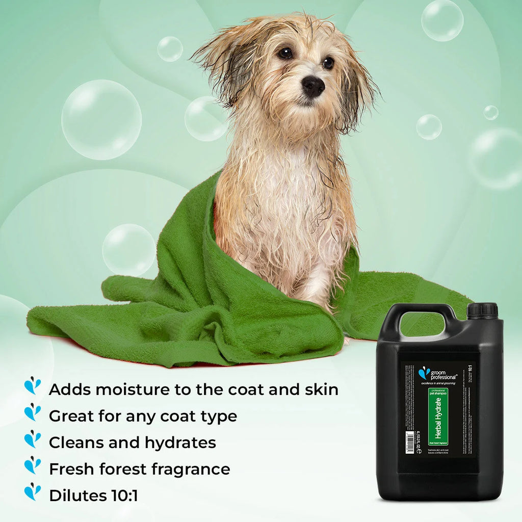 Groom Professional Herbal Hydrate Shampoo 4 L хидратиращ шампоан концентрат 10:1