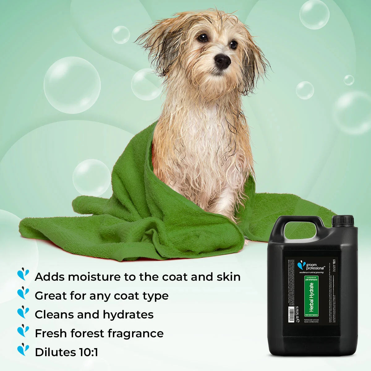 Groom Professional Herbal Hydrate Shampoo 4 L хидратиращ шампоан концентрат 10:1