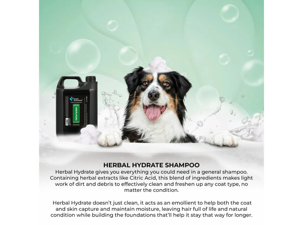 Groom Professional Herbal Hydrate Shampoo 4 L хидратиращ шампоан концентрат 10:1