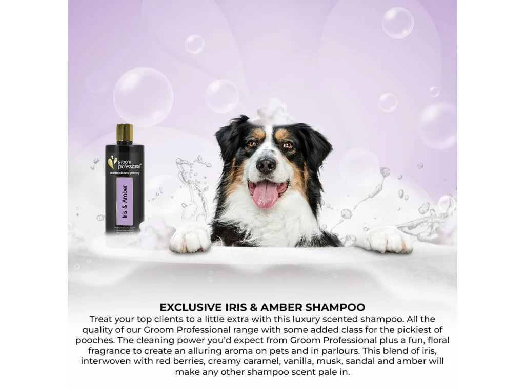 Groom Professional Exclusive Iris & Amber Shampoo 450ml шампоан концентрат 20:1