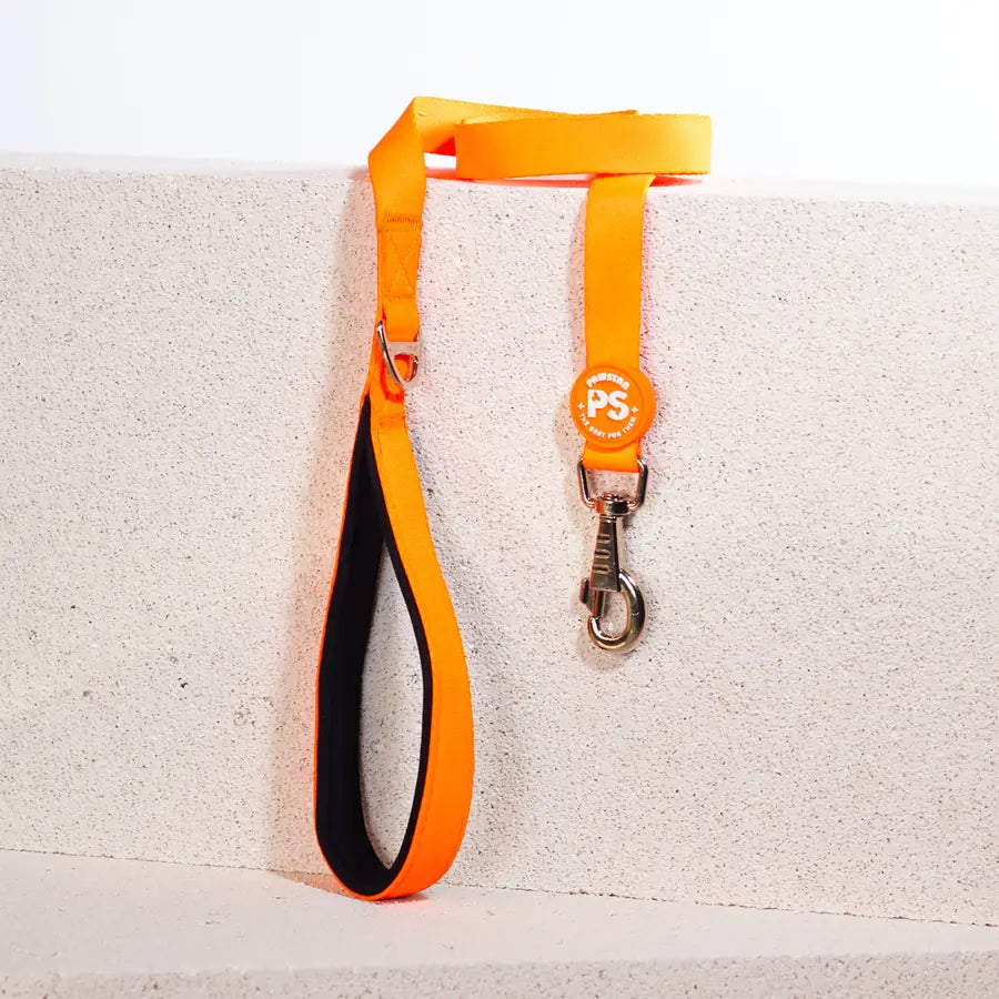 PawStar Neon Orange - дизайнерски повод за куче, 120 см