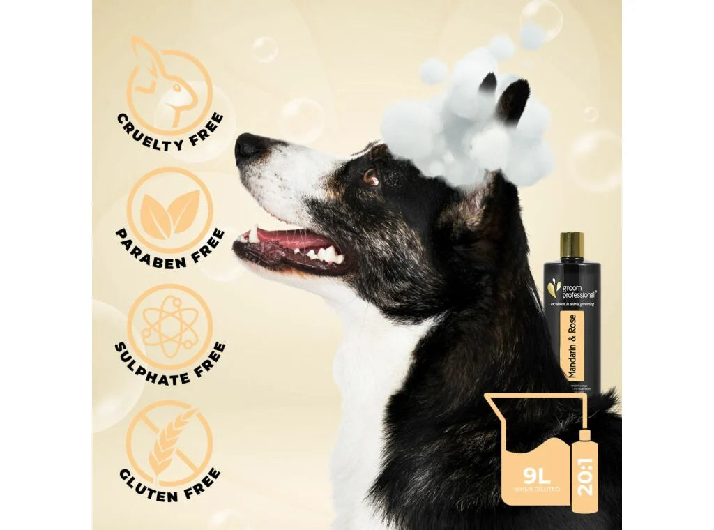 Groom Professional Exclusive Mandarin & Rose Shampoo 450ml шампоан концентрат 20:1
