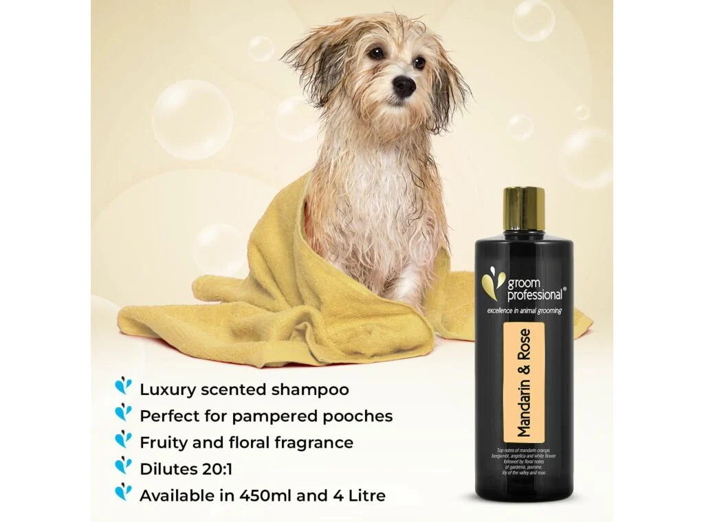 Groom Professional Exclusive Mandarin & Rose Shampoo 450ml шампоан концентрат 20:1