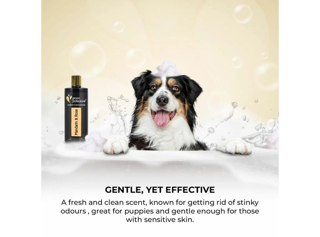Groom Professional Exclusive Mandarin & Rose Шампоан