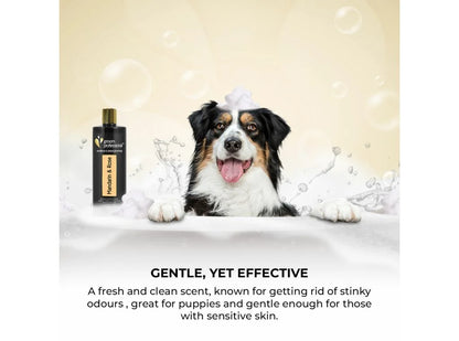 Groom Professional Exclusive Mandarin & Rose Шампоан