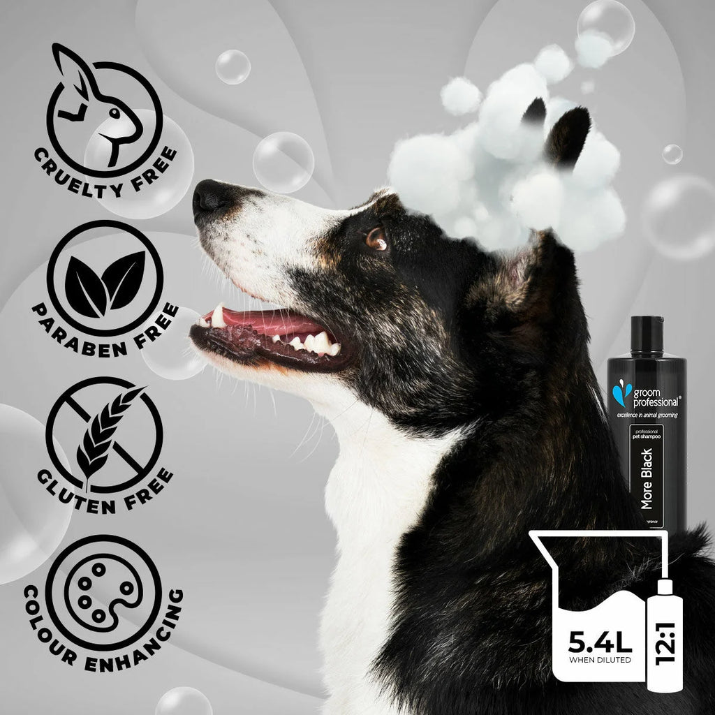 Groom Professional More Black Shampoo шампоан за черна козина концентрат 12:1