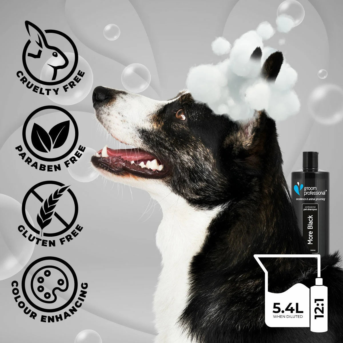 Groom Professional More Black Shampoo шампоан за черна козина концентрат 12:1