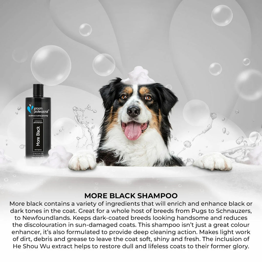 Groom Professional More Black Shampoo шампоан за черна козина концентрат 12:1