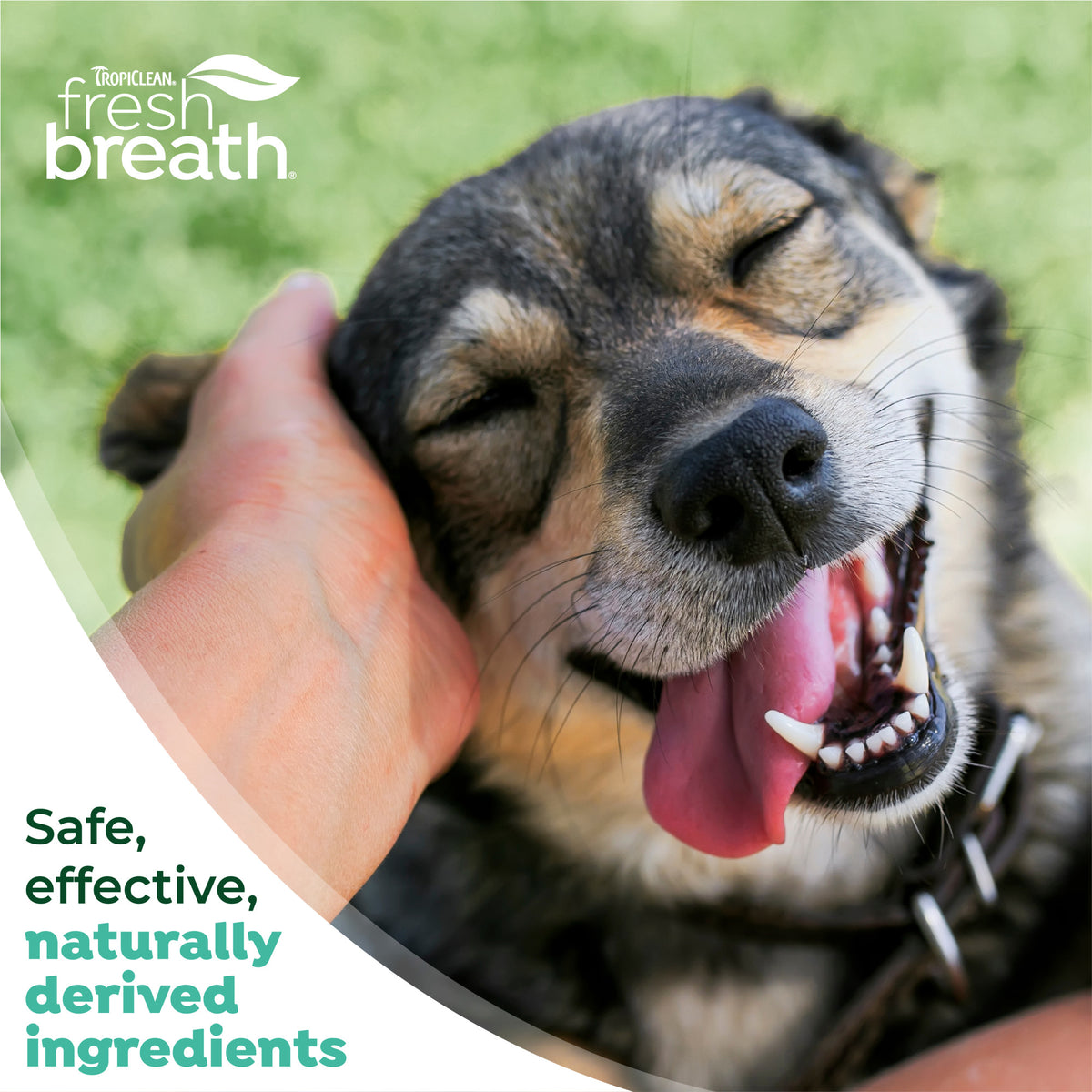 TropiClean Fresh Breath Plaque and Tartar Dental Kit (S/M)