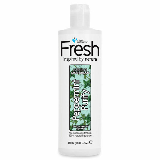 Groom Professional Fresh Peppermint Purify Шампоан