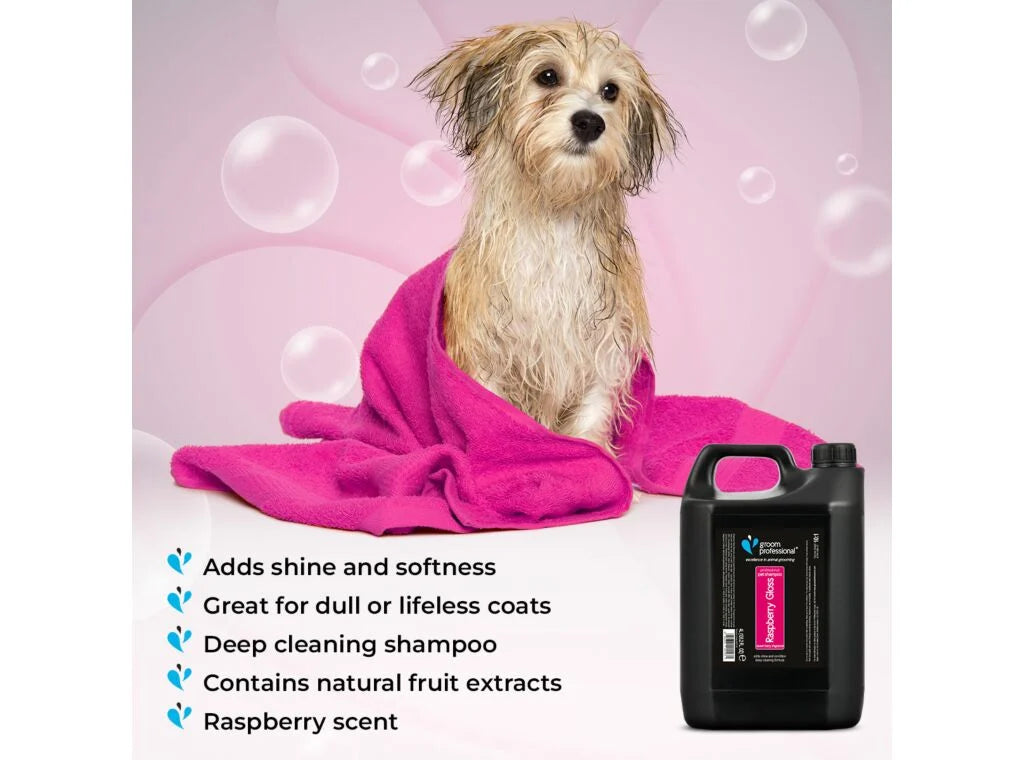 Groom Professional Raspberry Gloss Shampoo 4L шампоан концентрат 10:1