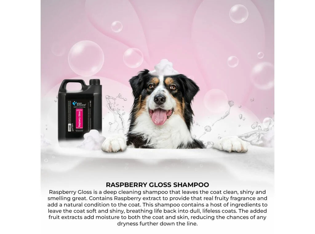 Groom Professional Raspberry Gloss Shampoo 4L шампоан концентрат 10:1