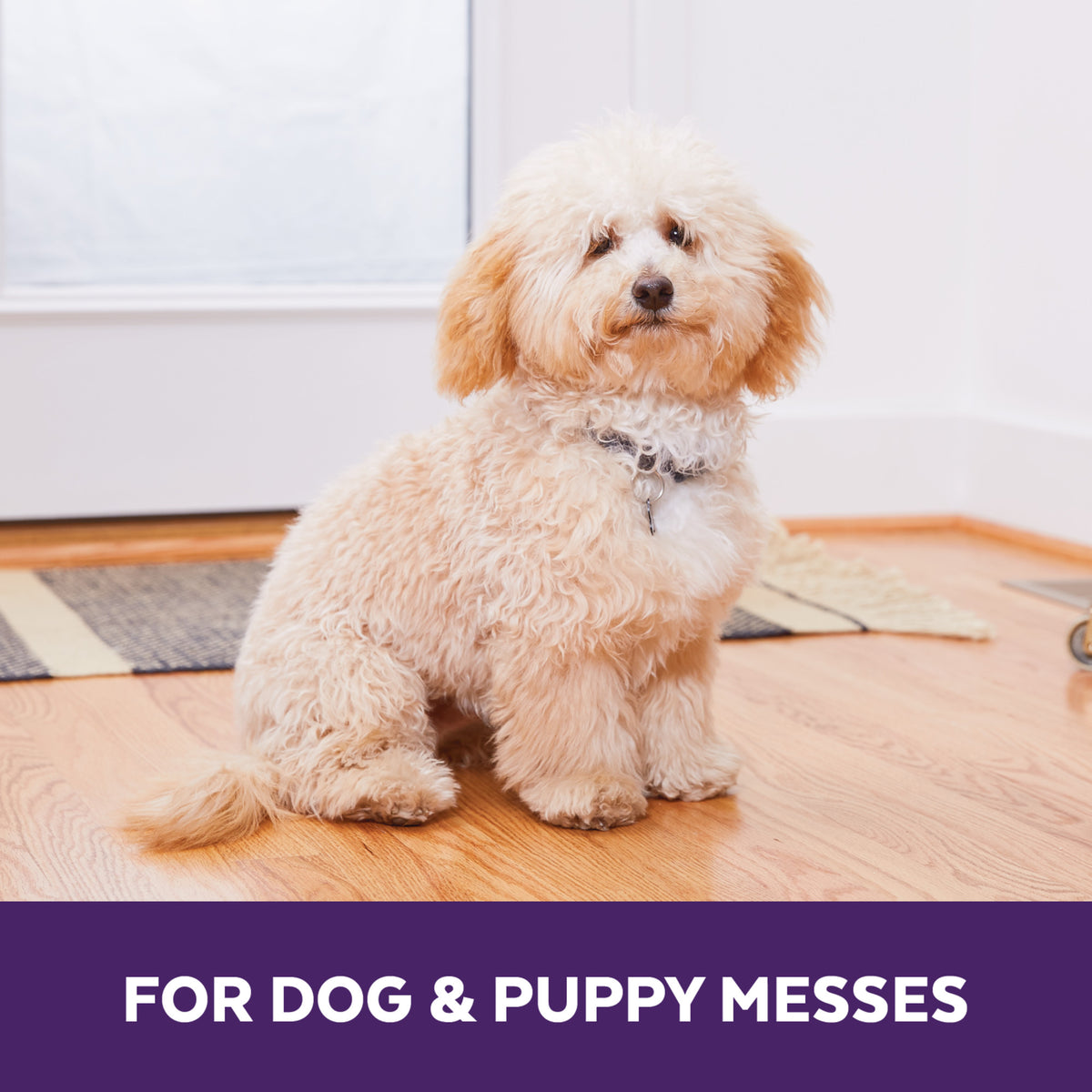 Urine Off Dog Urine Remover (Carpet Applicator)
