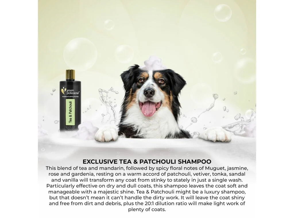 Groom Professional Exclusive Tea & Patchouli Shampoo 450ml шампоан концентрат 20:1