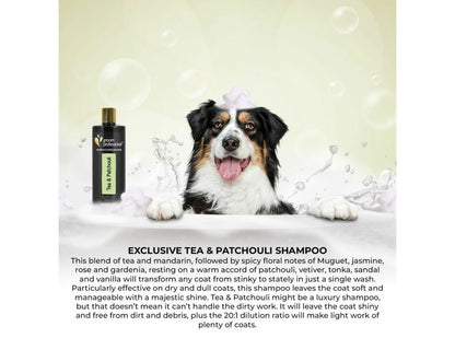 Groom Professional Exclusive Tea & Patchouli Шампоан